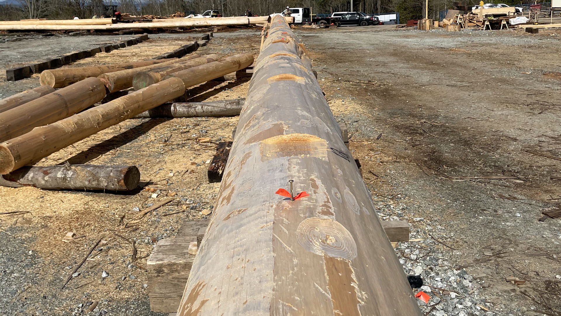 March-31-2021-Bighouse-Update-Photos_0006_Layer 33