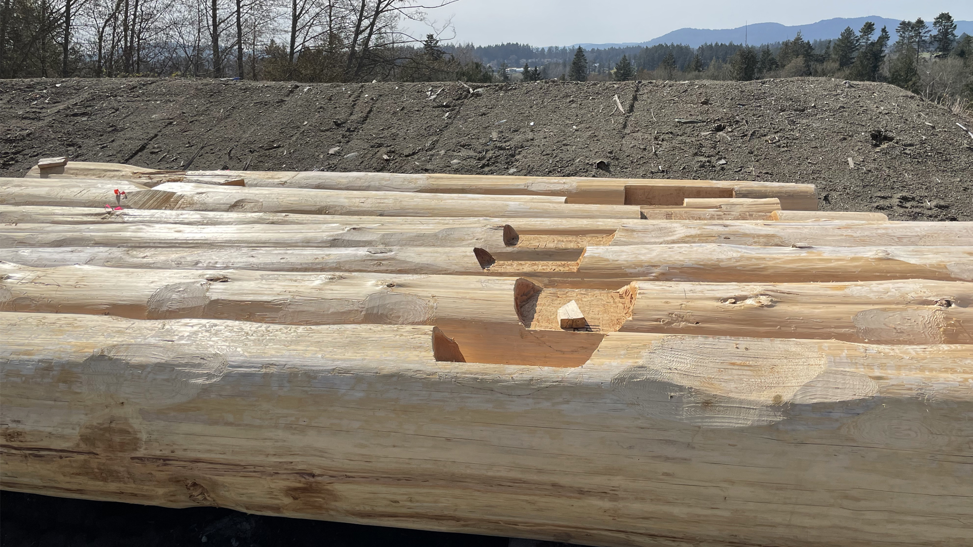 March-31-2021-Bighouse-Update-Photos_0007_Layer 32