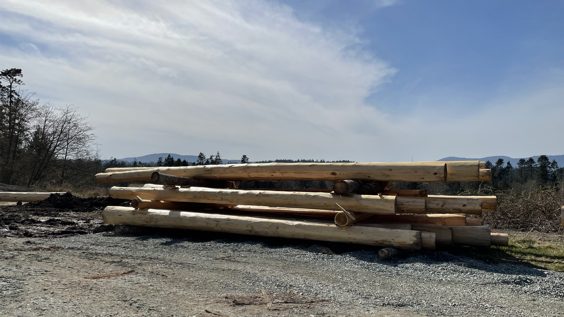 March-31-2021-Bighouse-Update-Photos_0008_Layer 31